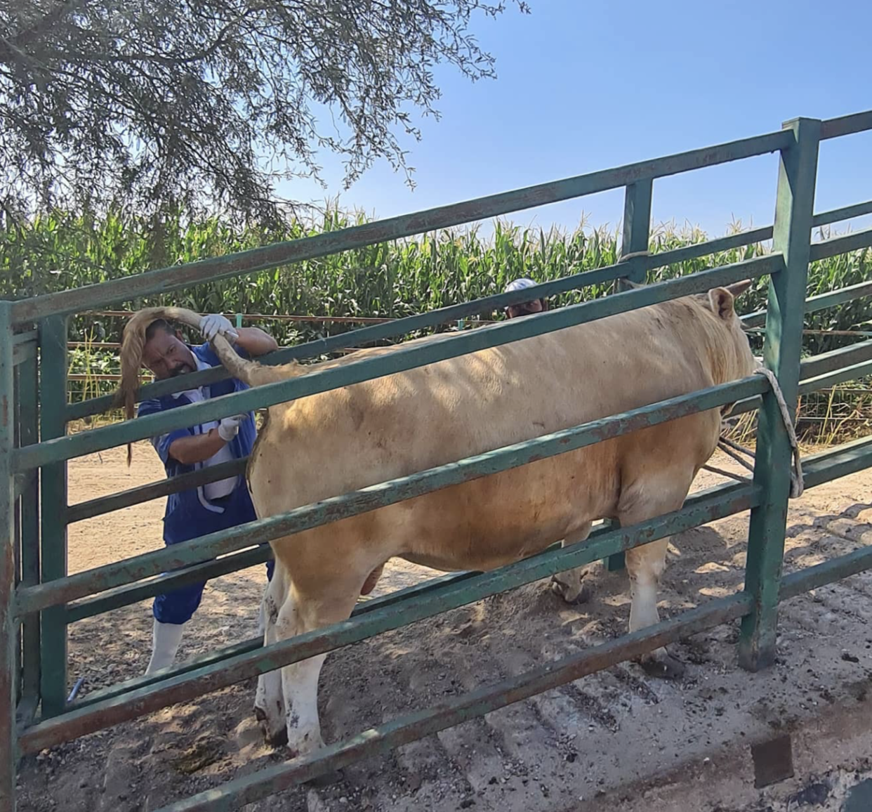 placeholder image-sq